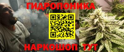 Альфа ПВП Лесосибирск