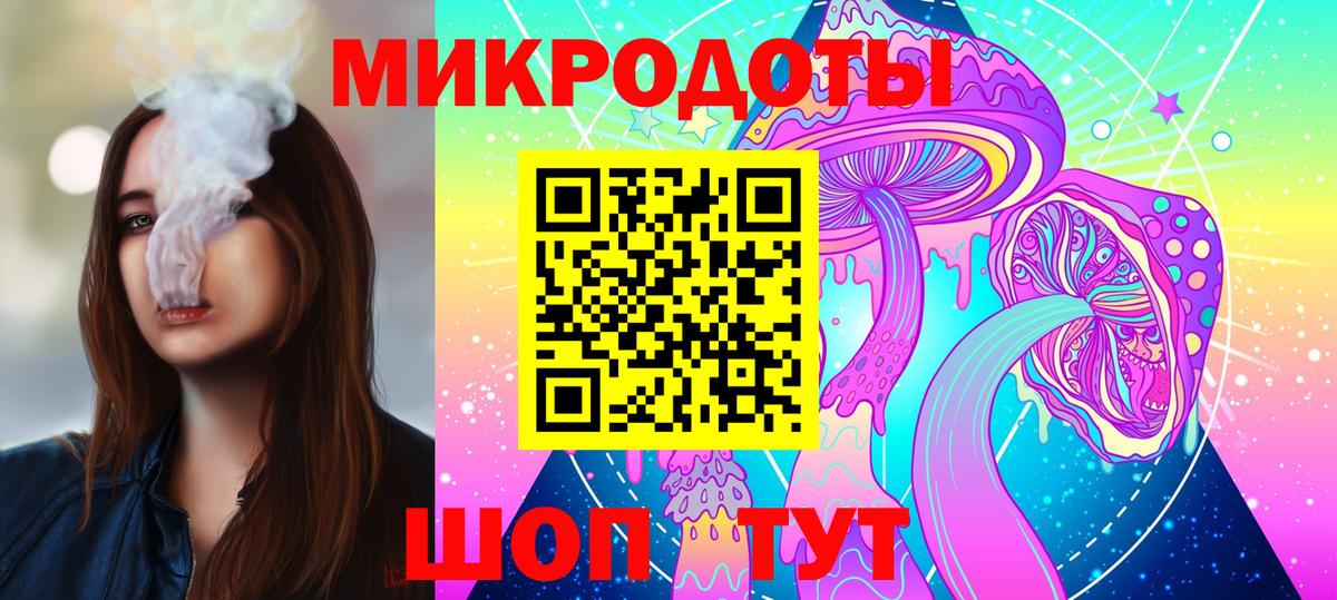 Галлюциногенные грибы Psilocybe  Вход с VPN  Зима 