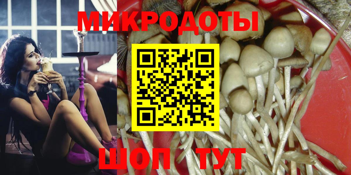 Галлюциногенные грибы Cubensis Зима